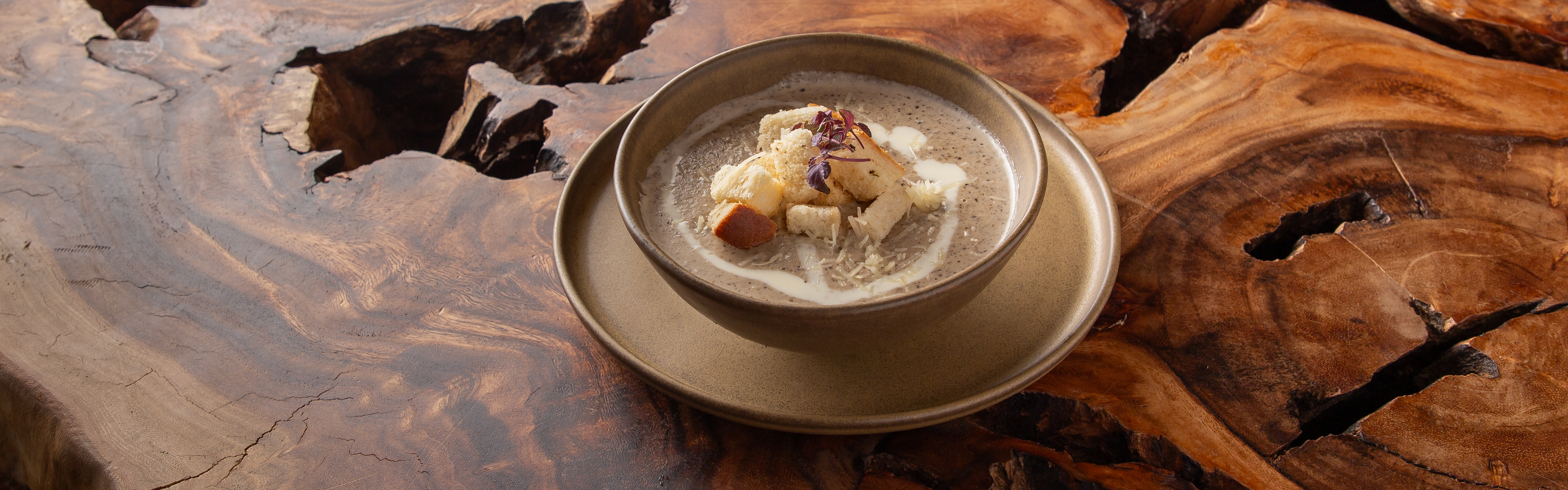 Mushroom Soup